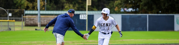 EvoShield Batting Helmets