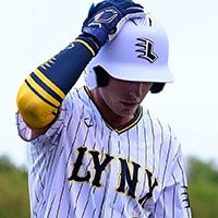 EvoShield Batting Helmets
